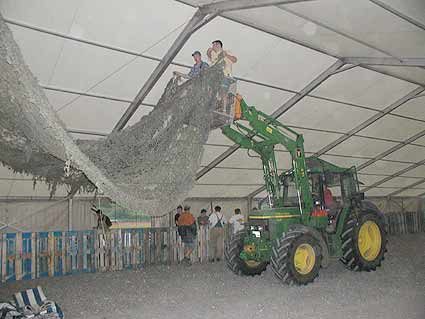 Beck’s Party 2003, Bild 81