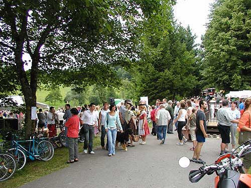 Sautrogrennen 2005, Bild 80