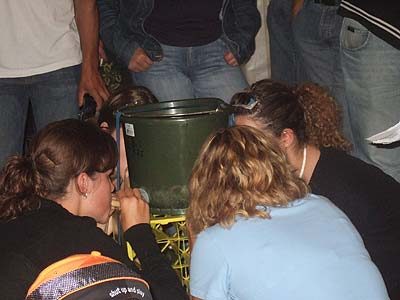 1. Brückenfest BV Bichl 2006, Bild 53