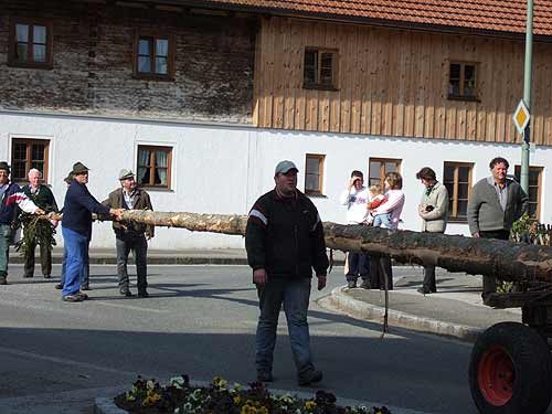 Maibaum aufstellen 2006, Bild 3