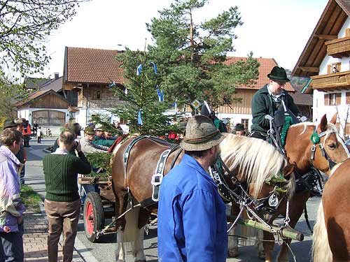 Maibaum aufstellen 2006, Bild 4