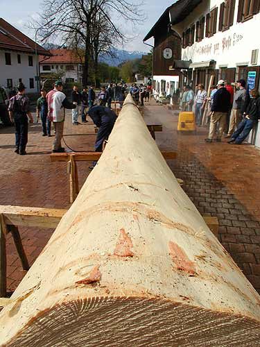 Maibaum aufstellen 2006, Bild 13