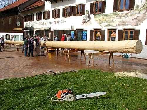Maibaum aufstellen 2006, Bild 14