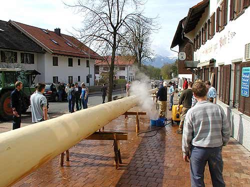 Maibaum aufstellen 2006, Bild 19