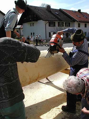 Maibaum aufstellen 2006, Bild 20