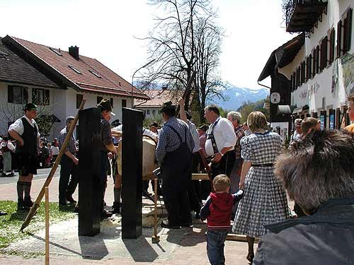 Maibaum aufstellen 2006, Bild 24