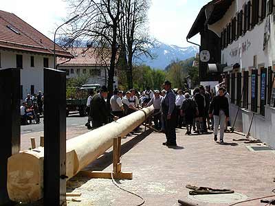 Maibaum aufstellen 2006, Bild 26