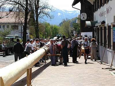 Maibaum aufstellen 2006, Bild 27