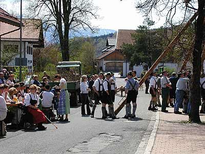 Maibaum aufstellen 2006, Bild 39