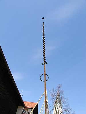 Maibaum aufstellen 2006, Bild 41