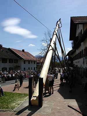 Maibaum aufstellen 2006, Bild 45
