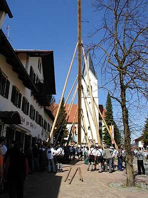 Maibaum aufstellen 2006, Bild 49