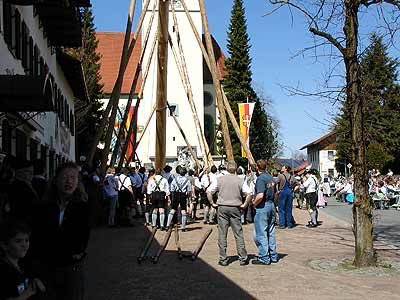 Maibaum aufstellen 2006, Bild 51