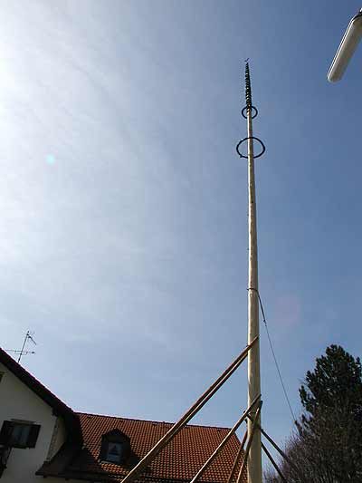 Maibaum aufstellen 2006, Bild 81