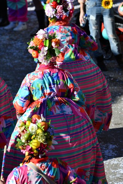 Faschingszug 2023, Bild 18